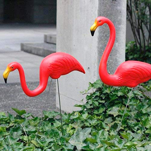 Amazon.co.jp: PINK FLAMINGOS 50年代アメリカンなピンクフラミンゴの